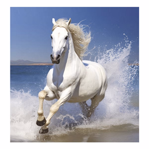 Falinaptár TOPTIMER T094 220x330mm álló Lovak 2026.