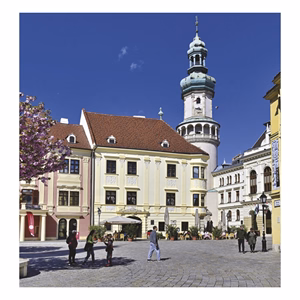 Falinaptár TOPTIMER T094 220x330mm álló Magyar városok 2027