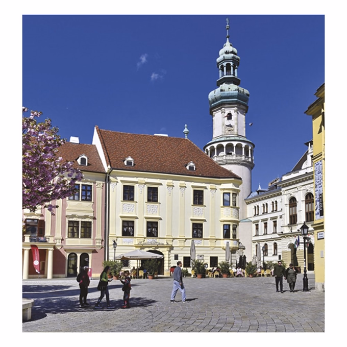Falinaptár TOPTIMER T094 220x330mm álló Magyar városok 2027