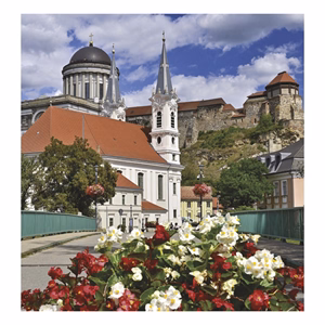 Falinaptár TOPTIMER T094 220x330mm álló Magyar városok 2027