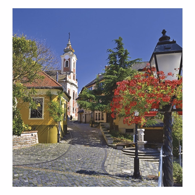 Falinaptár TOPTIMER T094 220x330mm álló Magyar városok 2027