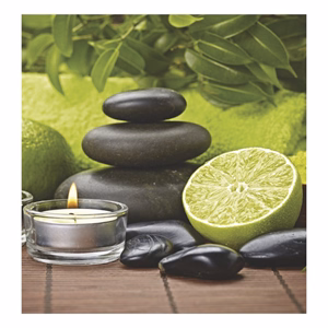 Falinaptár TOPTIMER T094 220x330mm álló Relax 2027
