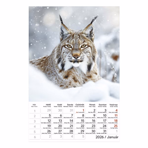 Falinaptár TOPTIMER T094 220x330mm álló Vadállatok 2026.