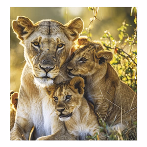 Falinaptár TOPTIMER T094 220x330mm álló Vadállatok 2026.