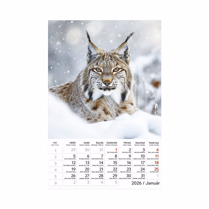 Falinaptár TOPTIMER T094 220x330mm álló Vadállatok 2026.