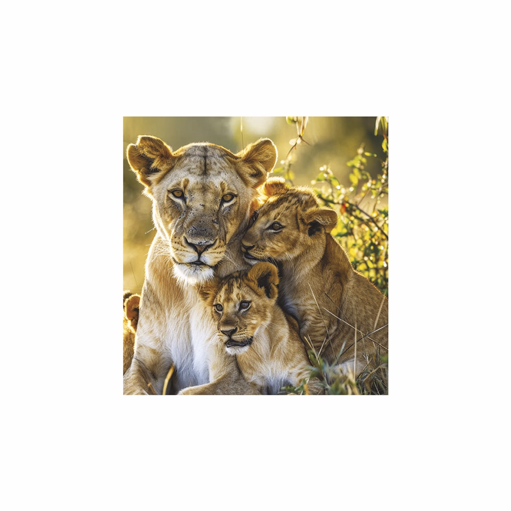 Falinaptár TOPTIMER T094 220x330mm álló Vadállatok 2026.