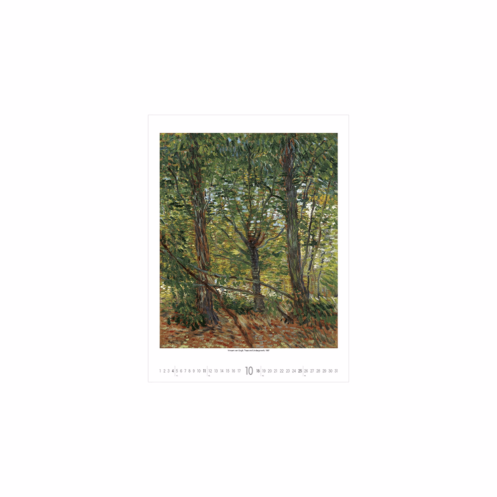 Falinaptár TOPTIMER T096 420x560mm álló Vincent Van Gogh 2026.