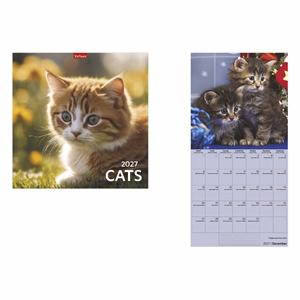 Falinaptár TOPTIMER T098 290x580mm álló Cats 2027