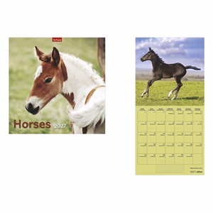Falinaptár TOPTIMER T098 290x580mm álló Horses 2027