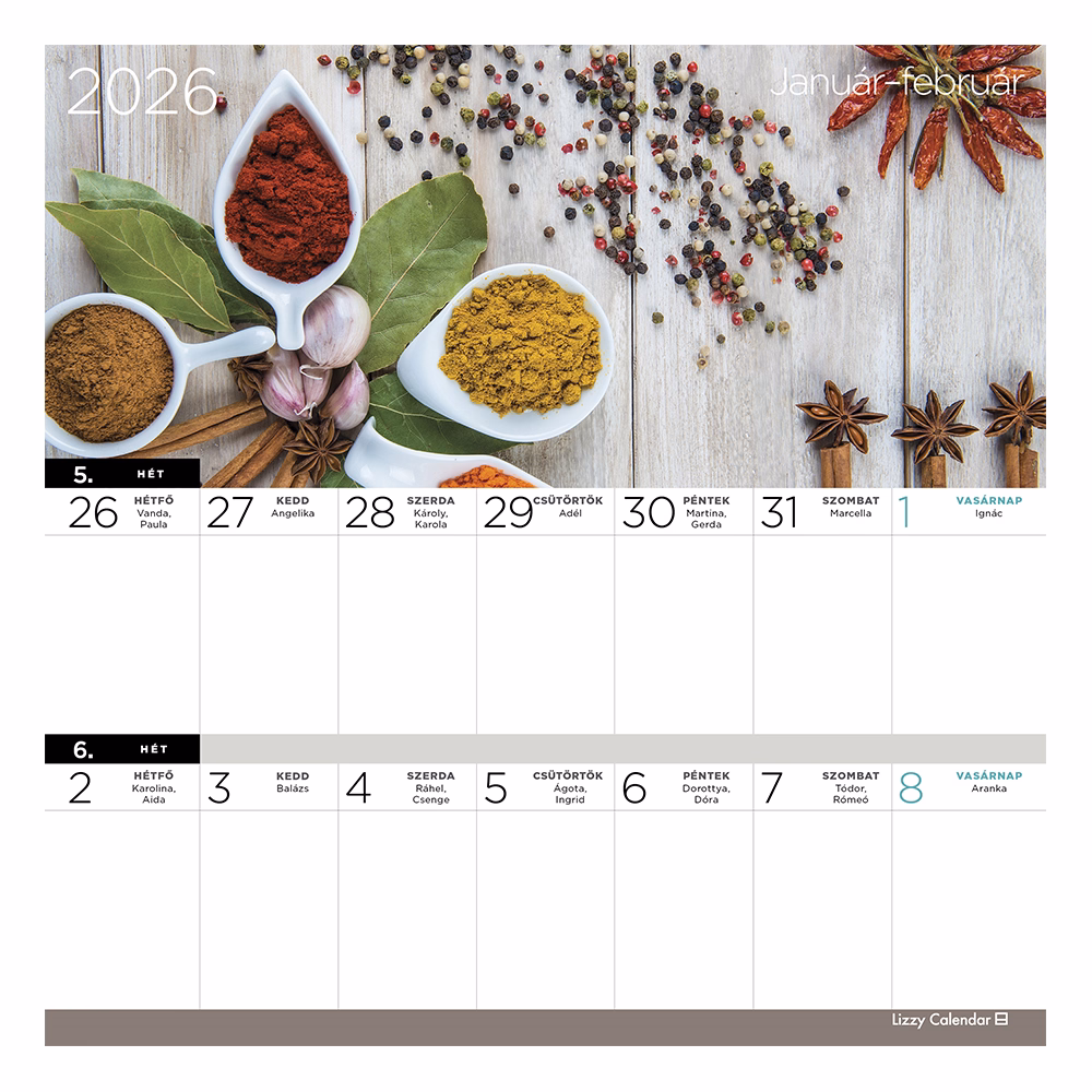 Falinaptár mágneses LIZZY CARD 220x220mm 2 hetes Fűszernövények 2026.