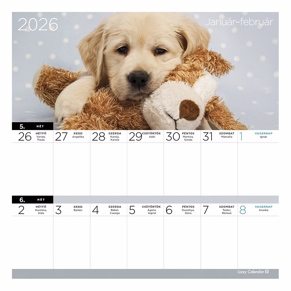Falinaptár mágneses LIZZY CARD 220x220mm 2 hetes Kutyák 2026.