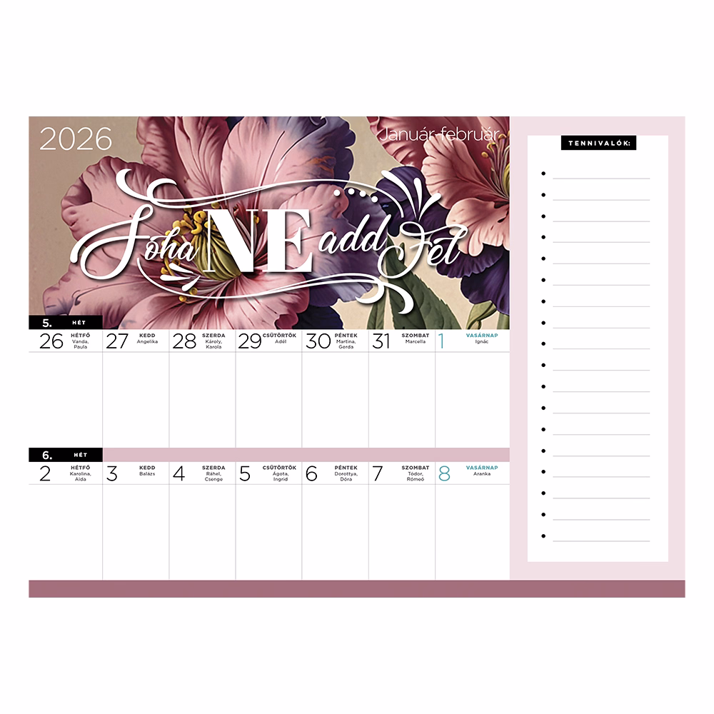 Falinaptár mágneses LIZZY CARD 220x300mm 2 hetes+ jegyzettömb Anyu tervezője Scrapbook Style 2026.