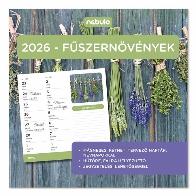 Falinaptár mágneses NEBULO 220x220mm 2 hetes Fűszernövény 2026.