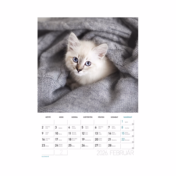 Falinaptár spirálozott  LIZZY CARD B/4 álló Cicák 2026.