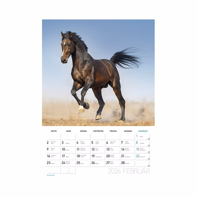 Falinaptár spirálozott  LIZZY CARD B/4 álló Lovak 2026.