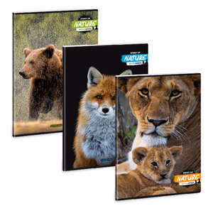 Füzet kockás ARS UNA A/4 40 lapos Extra kapcsos Spirit Of Nature