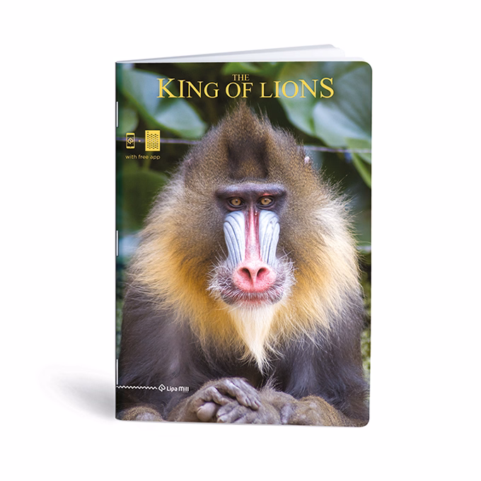 Füzet kockás LIPAMILL A/4 40 lapos King of lions