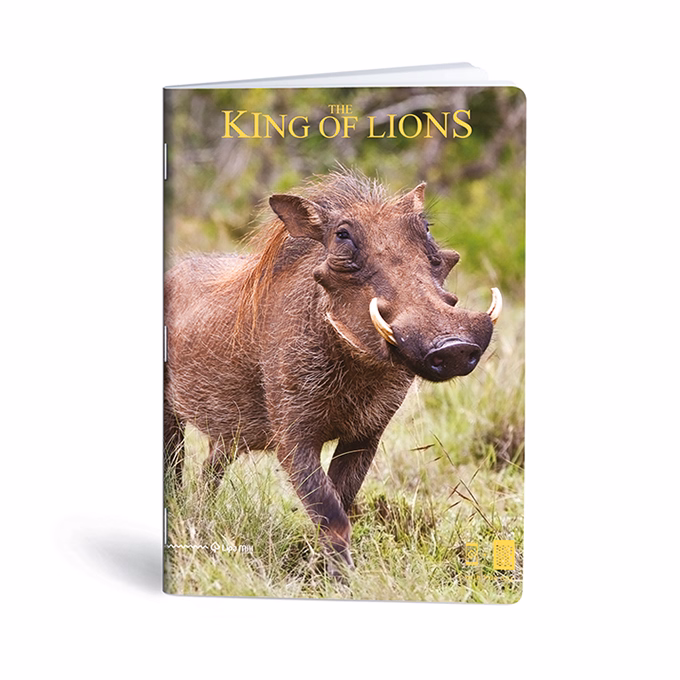 Füzet kockás LIPAMILL A/4 40 lapos King of lions