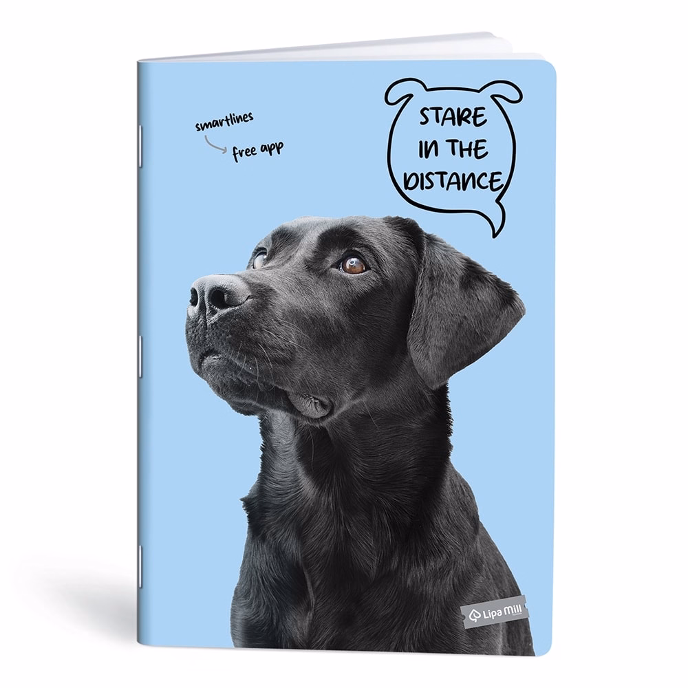 Füzet kockás LIPAMILL A/4 40 lapos Pets