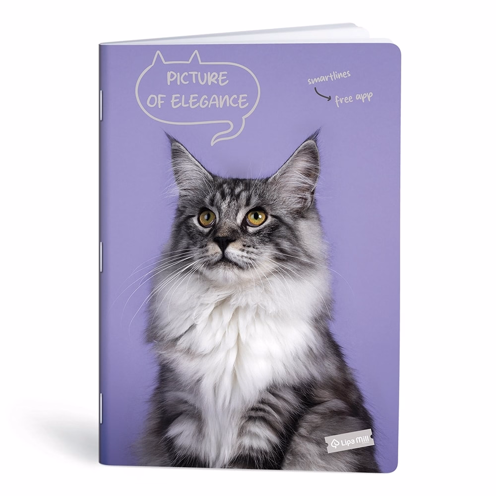 Füzet kockás LIPAMILL A/4 40 lapos Pets