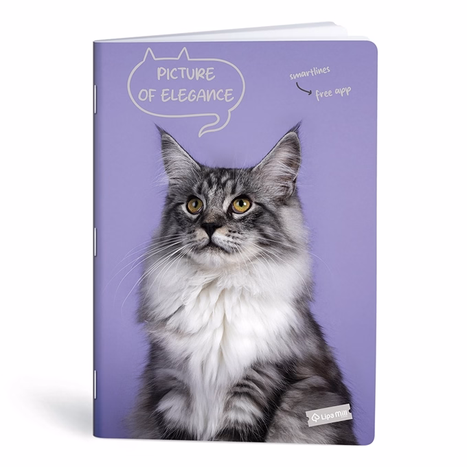 Füzet kockás LIPAMILL A/4 40 lapos Pets