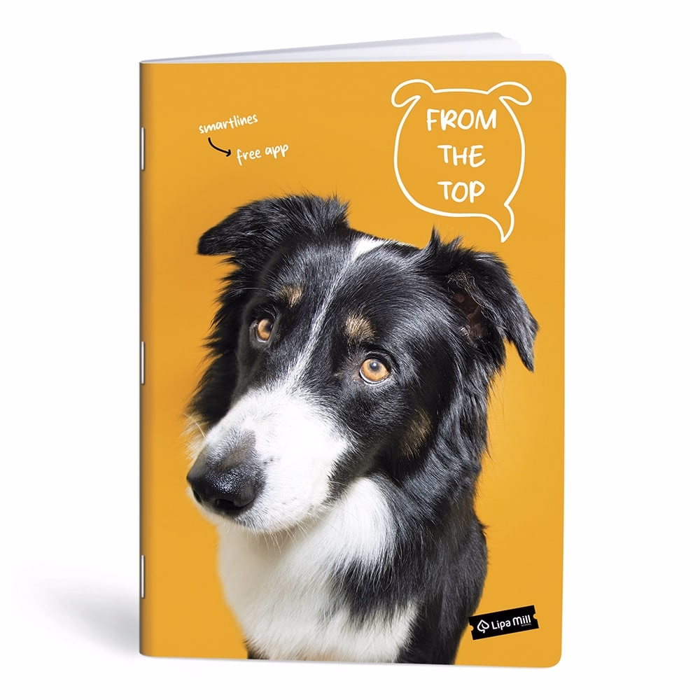 Füzet kockás LIPAMILL A/4 40 lapos Pets