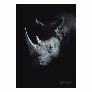 Füzet kockás STREET A/5 54 lapos Safari