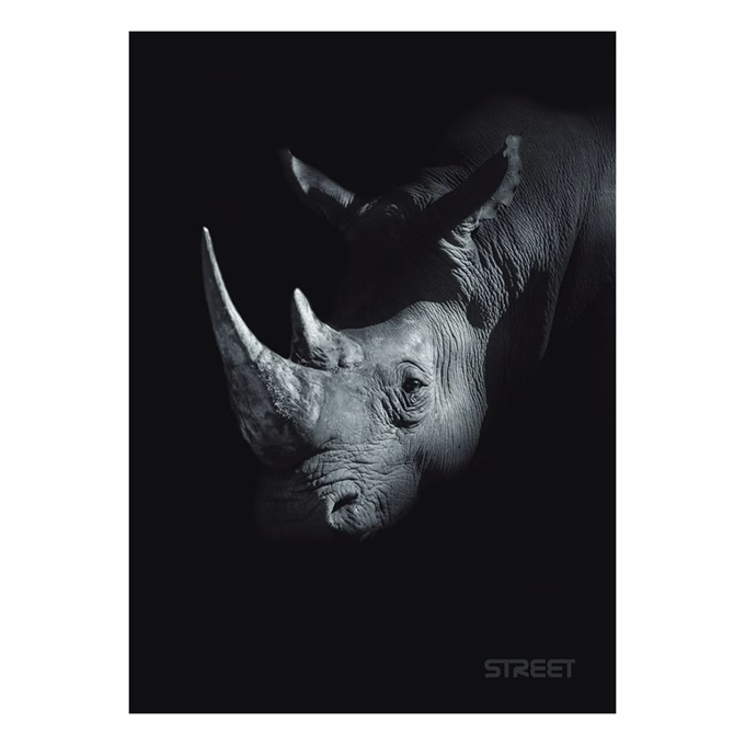 Füzet kockás STREET A/5 54 lapos Safari