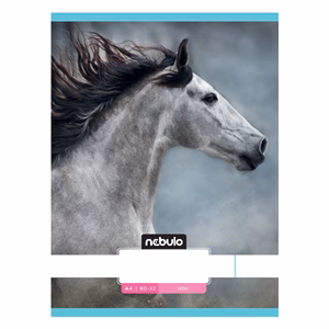 Füzet sima NEBULO A/4 32 lapos 80-32 L-Design 12 db/csomag