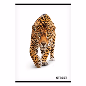 Füzet sima STREET A/4 54 lapos Safari