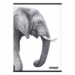 Füzet sima STREET A/4 54 lapos Safari