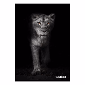 Füzet sima STREET A/4 54 lapos Safari