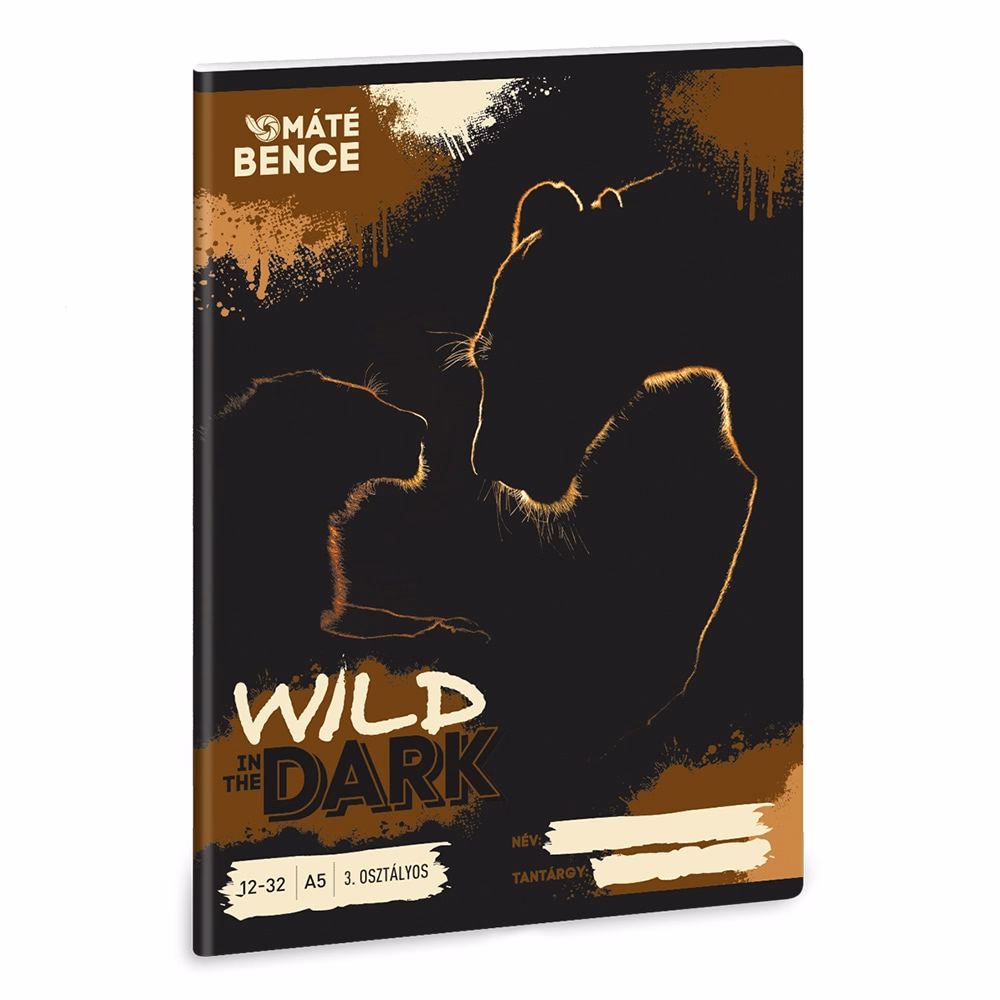 Füzet vonalas ARS UNA A/5 32 lapos 12-32 3.osztályos Wild In The Dark