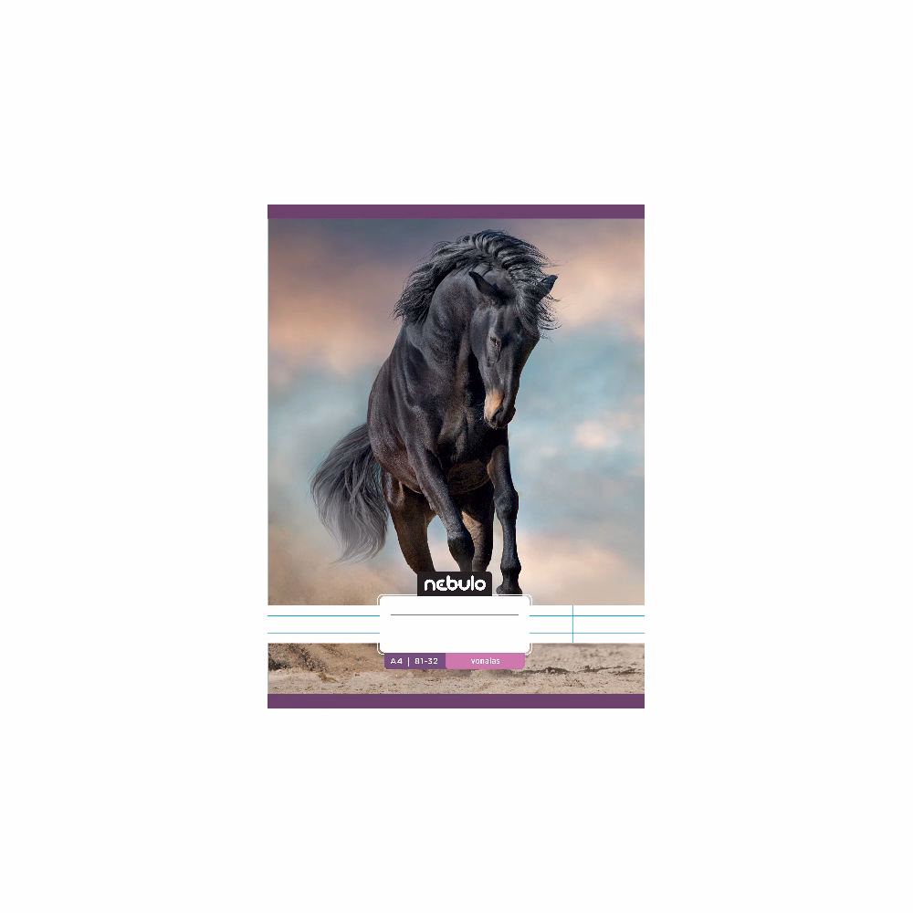 Füzet vonalas NEBULO A/4 32 lapos 81-32 L-Design 12 darabos
