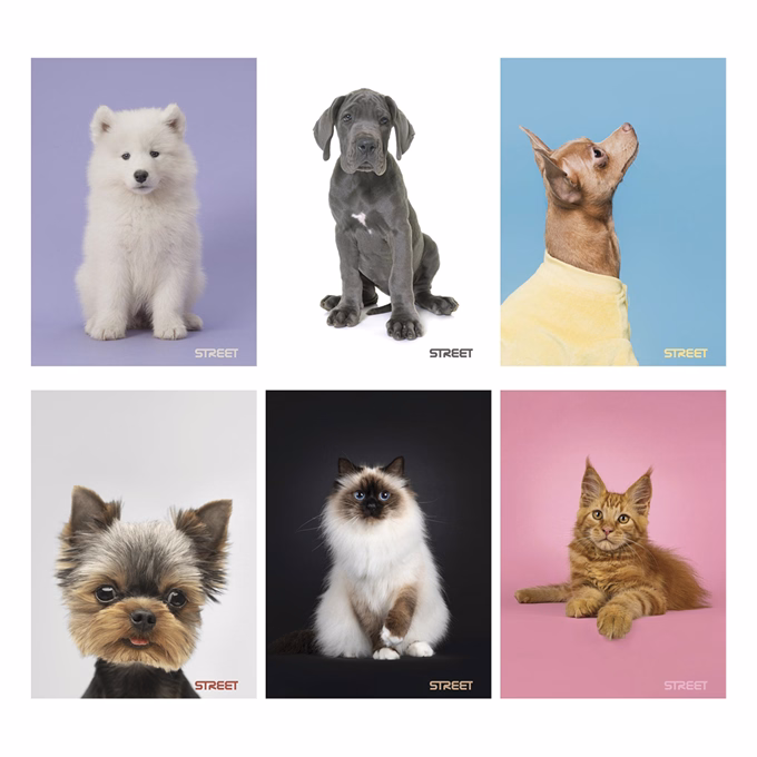 Füzet vonalas STREET A/4 54 lapos Friends margóval