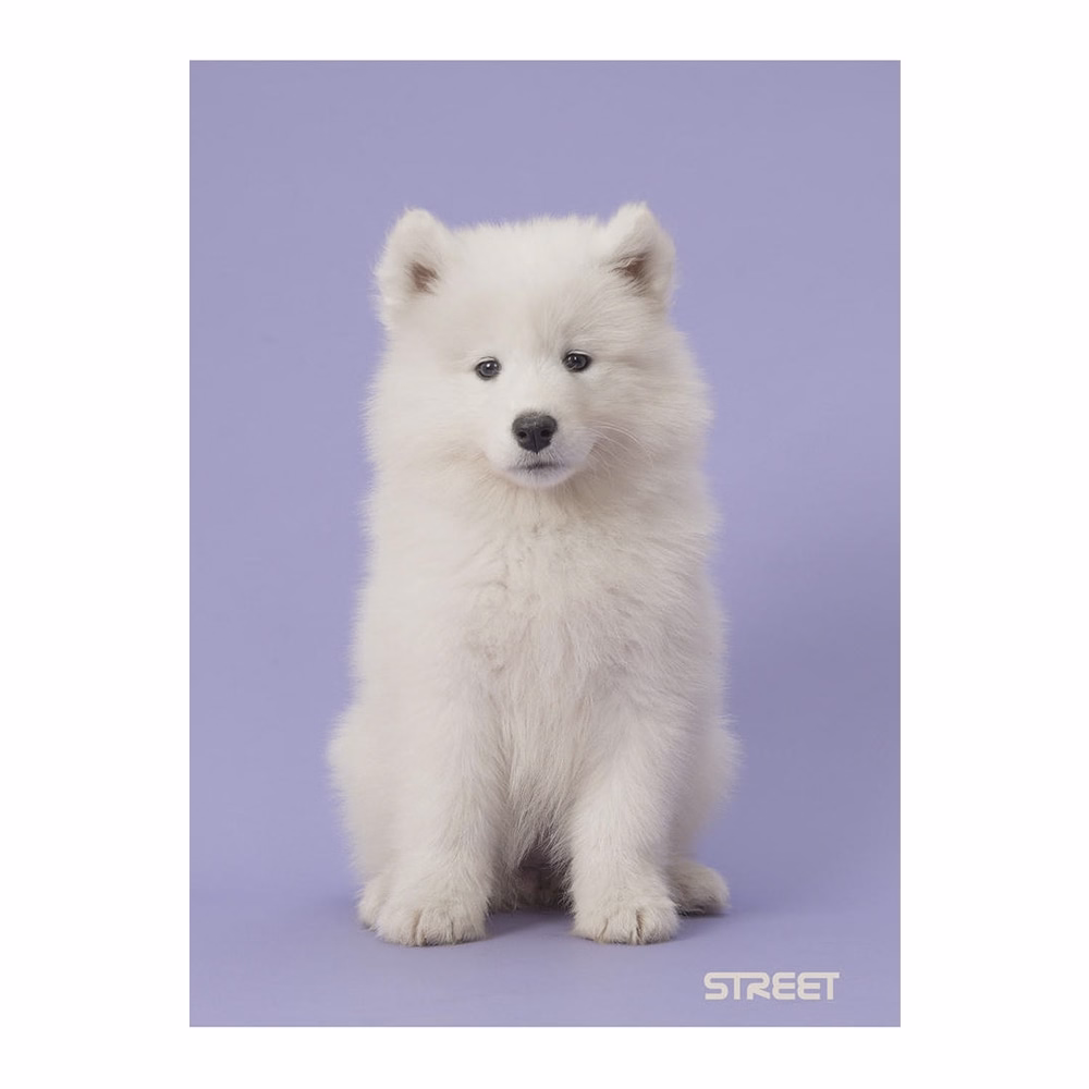 Füzet vonalas STREET A/4 54 lapos Friends margóval