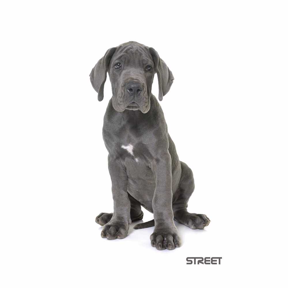 Füzet vonalas STREET A/4 54 lapos Friends margóval