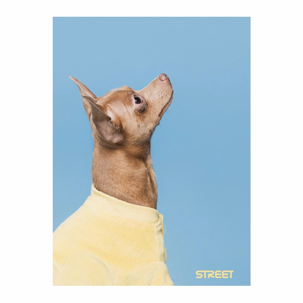 Füzet vonalas STREET A/4 54 lapos Friends margóval