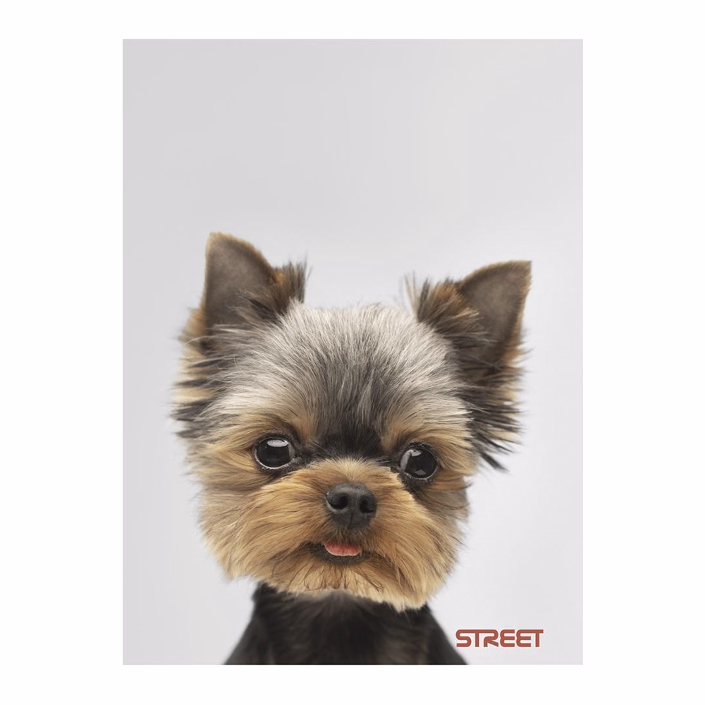 Füzet vonalas STREET A/4 54 lapos Friends margóval