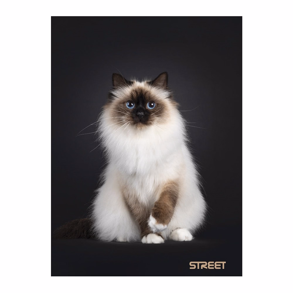 Füzet vonalas STREET A/4 54 lapos Friends margóval