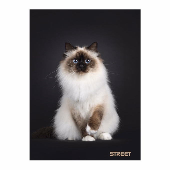 Füzet vonalas STREET A/4 54 lapos Friends margóval