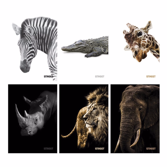 Füzet vonalas STREET A/5 54 lapos Safari margóval