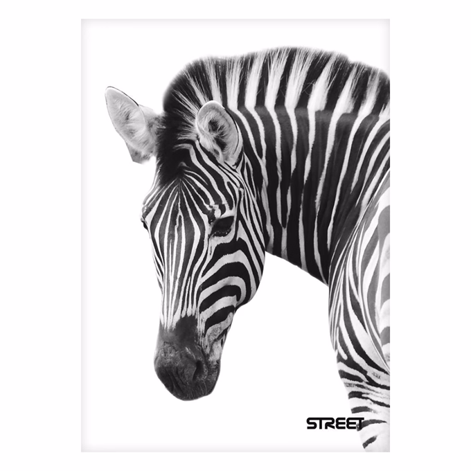 Füzet vonalas STREET A/5 54 lapos Safari margóval