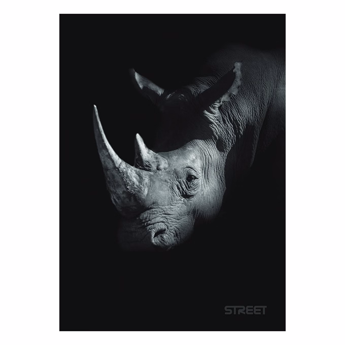 Füzet vonalas STREET A/5 54 lapos Safari margóval