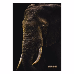 Füzet vonalas STREET A/5 54 lapos Safari margóval