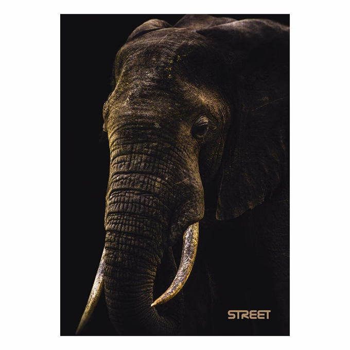 Füzet vonalas STREET A/5 54 lapos Safari margóval