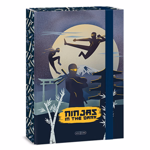 Füzetbox ARS UNA A/4 Ninjas In The Dark