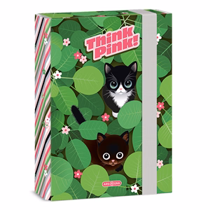 Füzetbox ARS UNA A/5 Think Pink