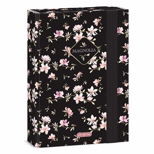 Füzetbox ARS UNA A/5 Magnolia 5542