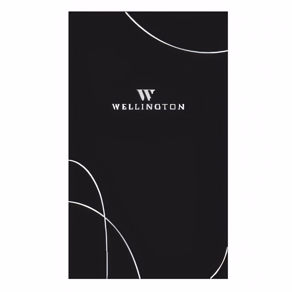 Golyóstoll WELLINGTON Hastur etui tolltartóval díszdobozban fekete